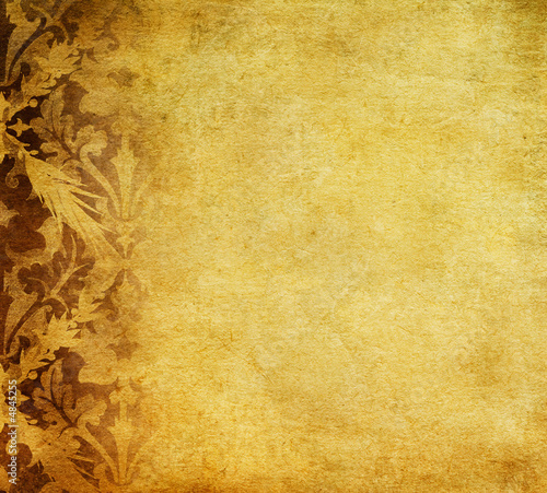 Foto: grunge floral background grunge floral background