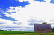 Barn Landscape