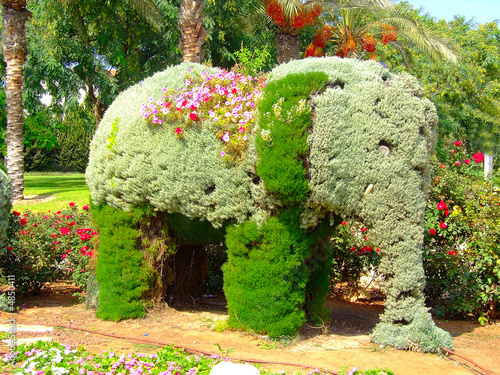 Photo: Elephant Elephant
