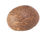 Tagua Nut Tagua Nut