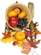 Cornucopia