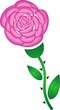 Beautiful rose Beautiful rose