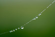A String of Pearls