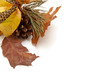 Autumnal leaves arragement