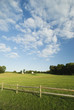 Summer field Summer field