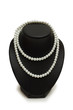 Pearl necklace on the stand isolated on white