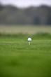 Balle de Golf