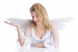 gesture and wings
