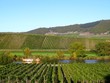 Nachgebautes, römisches Weinboot auf der Mosel