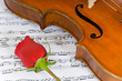 Violin, Rose and sheet music