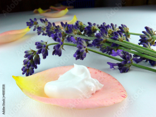 Creme auf einem Rosenblatt mit Lavendel