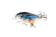Lure