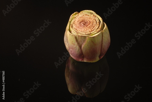 carciofo carciofo