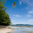 Caribbean Beach