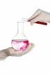 Research laboratory. Experiment.