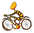 Velo