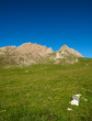 Wiese auf der Alm Wiese auf der Alm