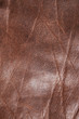 Leather texture