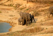 Tanzania