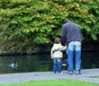 feeding ducks