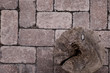 wooden trunk over a pavement of old bricks