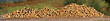 Panoramic view of logs stacked