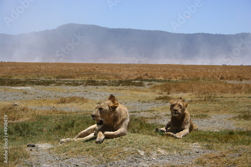 Photo: Tanzania, Wildlife, scenery, Pemba, Swahili, Safari, Serengeti Tanzania, Wildlife, scenery, Pemba, Swahili, Safari, Serengeti