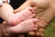 Baby feet