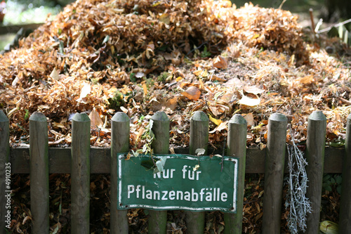 Foto: Friedhofsmüll Friedhofsmüll