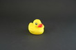 Rubber Duck on Black