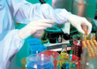Foto: scientist working scientist working