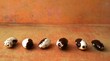 six beans