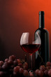 wine and grape 