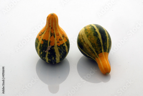 zucche zucche