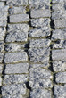 Granite ankle
