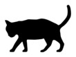 Chat noir