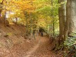 herbstlicher Wanderweg