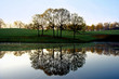 Morning Reflections