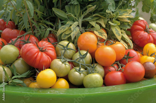 Photo: tomates variées tomates variées