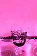 Wasser
