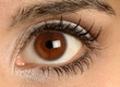 pretty brown eye