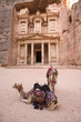 Two camels in front of Treasury at Petra Jordan Two camels in front of Treasury at Petra Jordan