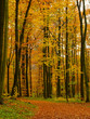 Herbststimmung Herbststimmung