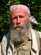 Portrait of Man with Beard 17 Portrait of Man with Beard 17