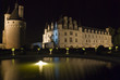 Fountain and Chateau Chenonceau at night.