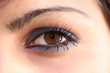 auge