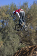 vélo de bosse