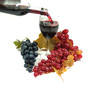 Fruit Of  The Vine