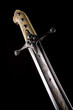 Ancient sabre. 