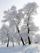 Winter in China, Wusong Island. Winter in China, Wusong Island.